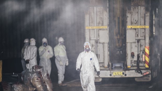 Asbestos being removed last week from the Parkes Way Tunnel. 