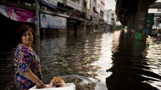 Wet walk ... a woman walks with her dog, in a floating box, across floodwaters in a street next to the Chao Praya river in Bangkok