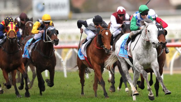 Dilemma: Cup favourite Puissance De Lune is not guaranteed a start in the Turnbull Stakes.