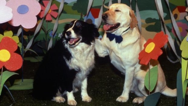 Dog day ... the bizarre dream sequence in which Bouncer fantasises about getting married to Clarrie McLachlan's dog, Rosie.