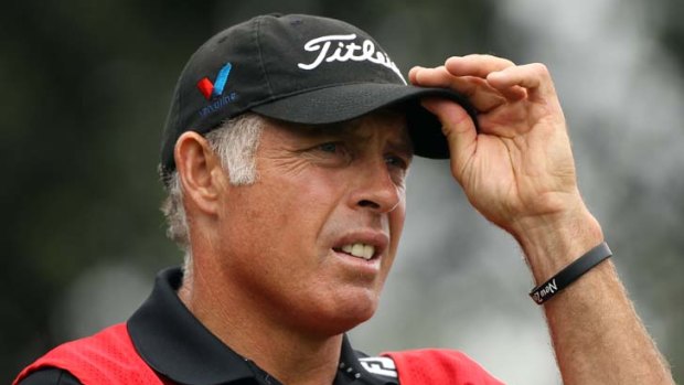 Steve Williams ... made controversial comments about Tiger Woods.