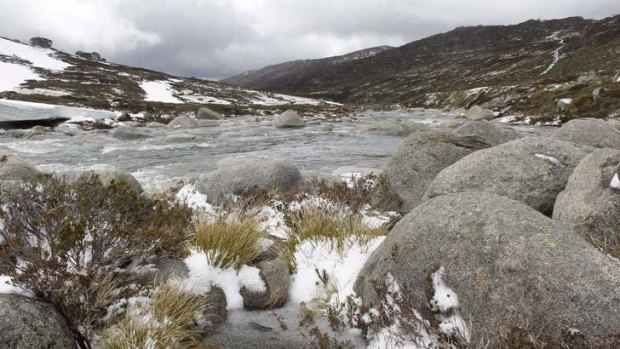 Snow showers at Snowy River near Charlotte Pass in Kosciuszko National Park.