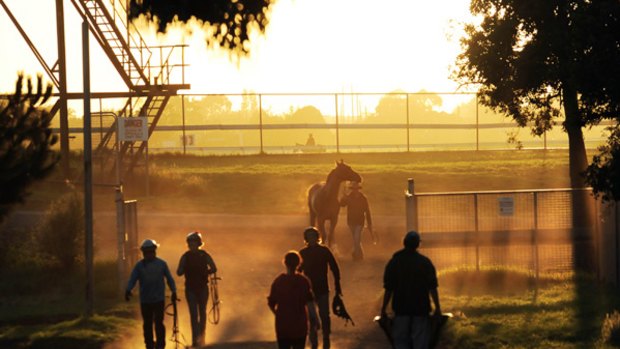 With the autumn carnival in full swing, there was a hive of activity at Caulfield trackwork early yesterday.