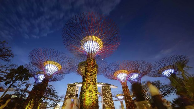 The 101-hectare gardens, situated at the heart of Singapore's Marine Bay, cost $773 million to build and house over a quarter of a million rare plants.