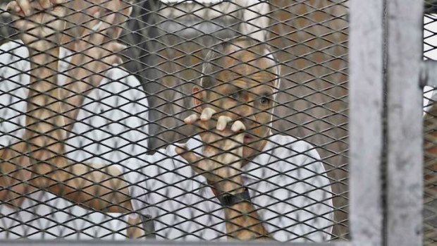 Call for lengthy jail term: Australian correspondent Peter Greste appears in a cage along with several other defendants during their trial on Thursday.