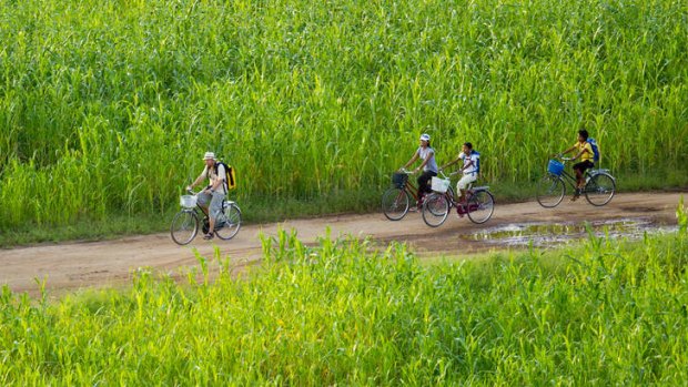 Cycling through Myanmar's lush lands.