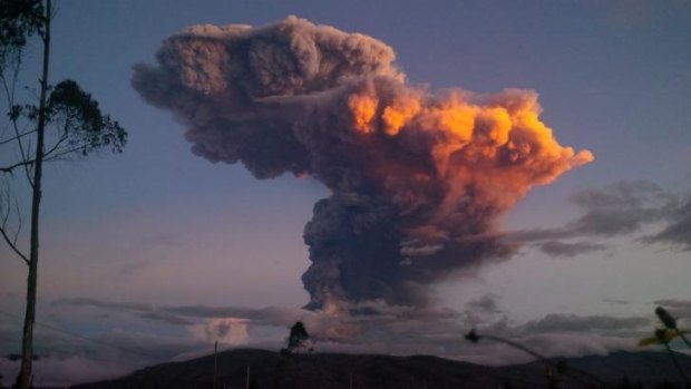 Eruption fears: The Tungurahua volcano spews a column of ash.