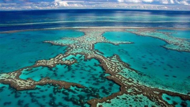 Great Barrier Reef sponsorship is now up for grabs.