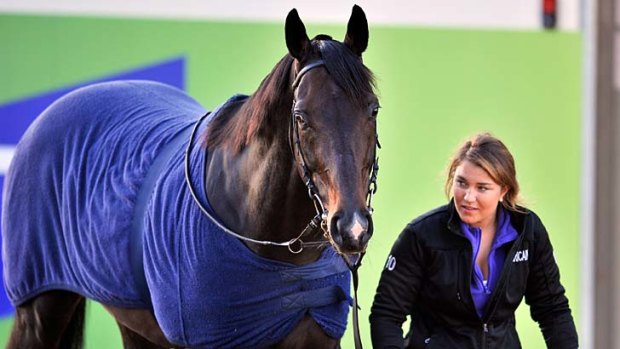 Constant companions &#8230; track rider Stephanie Nigge with Americain.