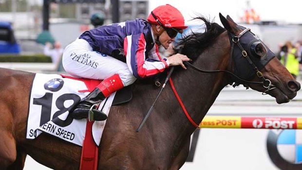 Southern Speed, with Craig Williams in the saddle, wins the Caulfield Cup.