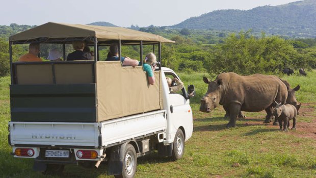 Something special: Southern Africa safari.