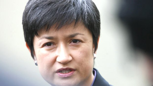 Blurred signal: Minister for Climate Change Senator Penny Wong.