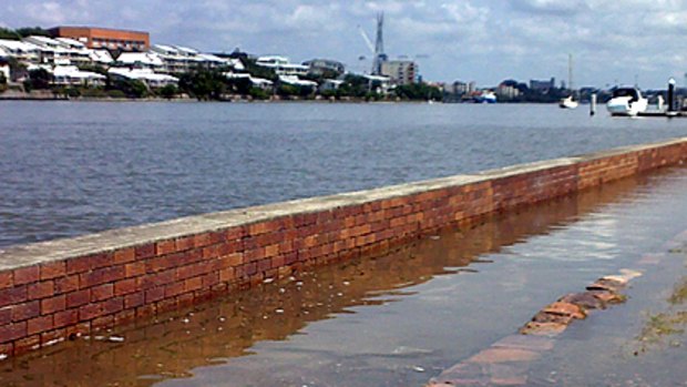 Bank breaking ... unusually high tides have seen water wash onto parkland at Bulimba.