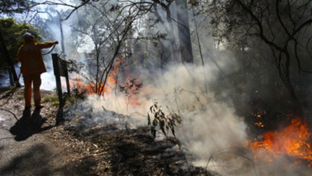 Hazard reduction ... the National Parks and Wildlife conduct burn-offs in the Lane Cove National Park.