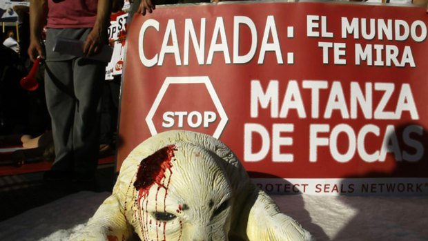 Animal rights activists protest against Canada's seal hunt in front of the Canadian embassy in Madrid.