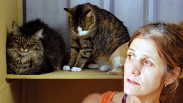 Roz Robinson fears the global credit crunch will harm more cats such as Ellie and  Maggie.