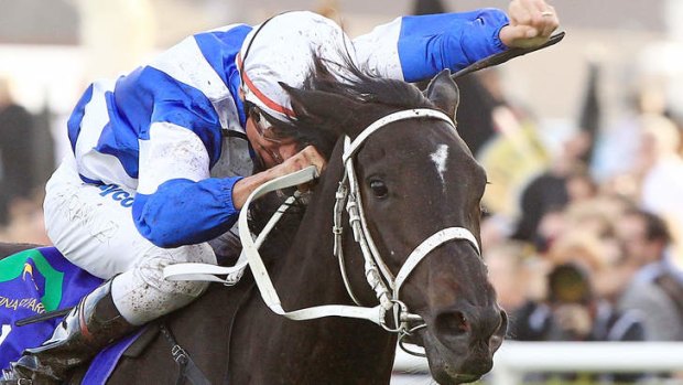 Royal Descent is firming in markets for the Caulfield Cup.