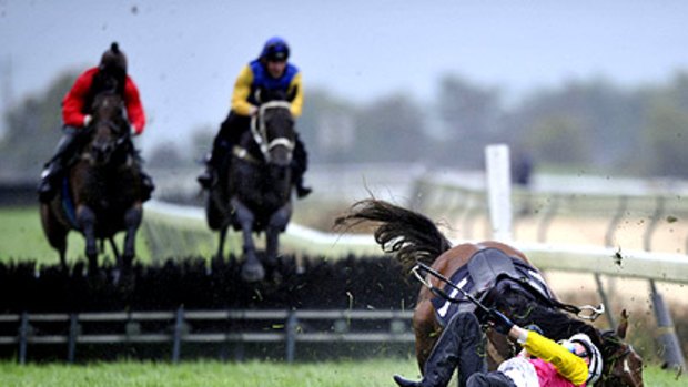 Zonya, ridden by Trent Wells, falls during a jumps trial at Stony Creek yesterday. Zealous, at left, also fell.
