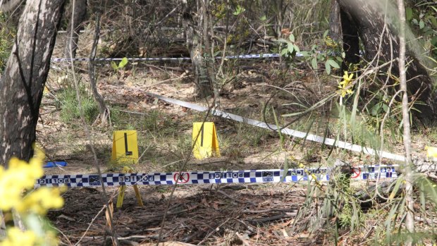 The scene in the Belanglo State Forest where Karlie Pearce-Stevenson's bones were found.
