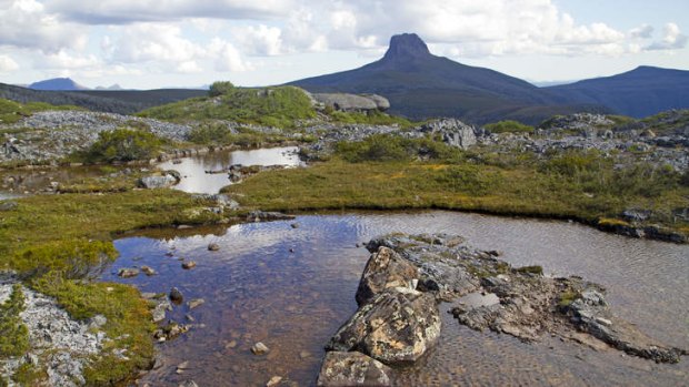 The Overland Track: a tarn on the approach to Barn Bluff.