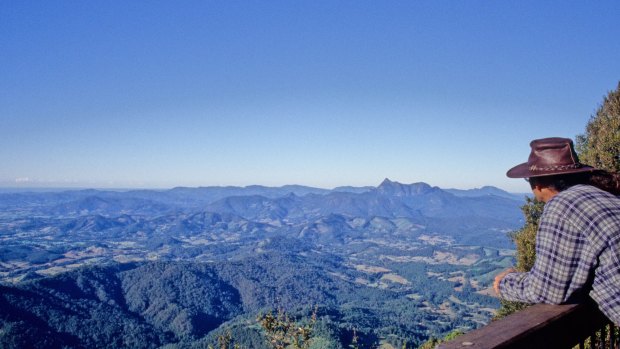 A tourist looks out from the Best of All Lookout in Springbrook National Park.