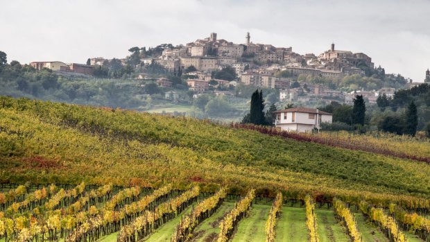 Colourful vineyards surround the medieval town of Montepulciano.