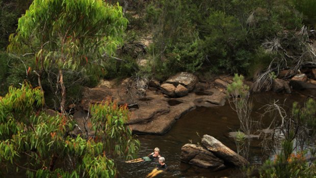 Among the state's cleanest creeks … Sharyn Cullis and Pat Durman swim in O'Hares Creek in the Dharawal State Conservation Area.