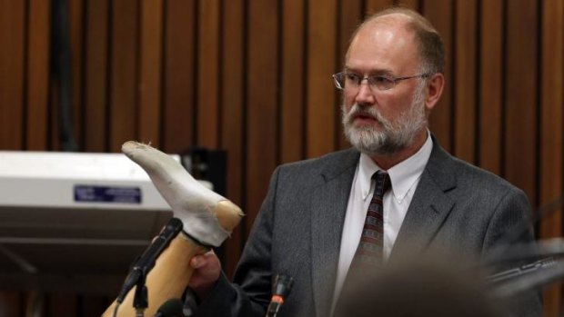 Roger Dixon was called as a forensic expert by Pistorius' team.