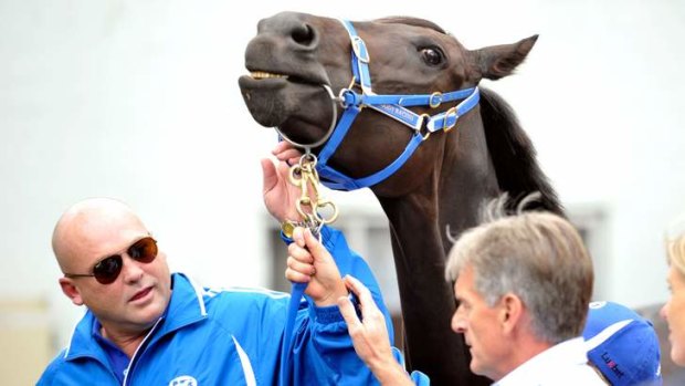 Taking no chances: Peter Moody and managing owner Neil Werrett announce the retirement of Black Caviar.
