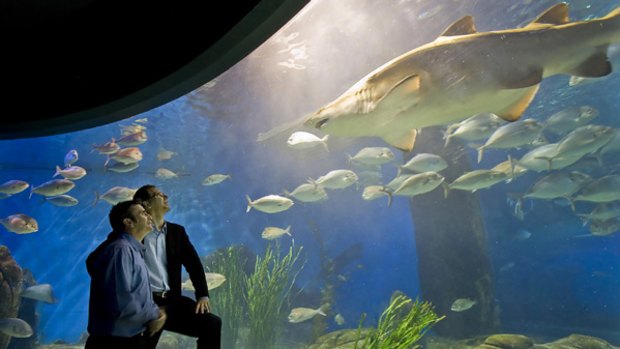 Mick Foley (left) and consultant scientist Stewart Nuttall at Melbourne Aquarium. Researchers have discovered shark antibodies that may help treat human diseases.