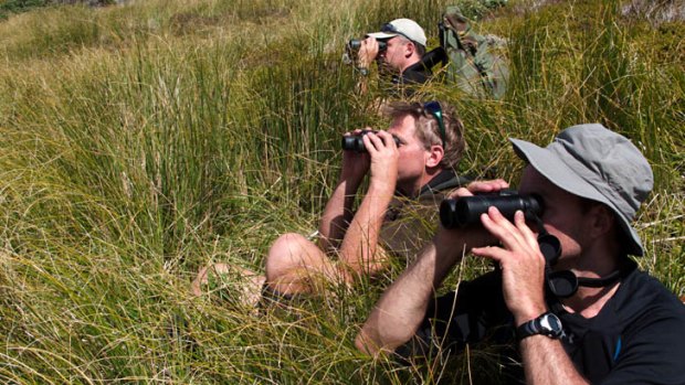 Hunters Glen McLaren, John Edgcomb and Sean Costello binocular for deer in the Ruahine Ranges.