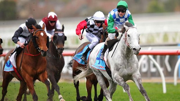 Grey bomber: Puissance De Lune and Glen Boss clear out on Saturday.