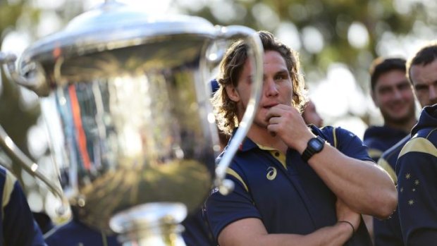 What's that?: Wallabies captain Michael Hooper eyes the Bledisloe Cup trophy his country hasn't lifted since 2002.