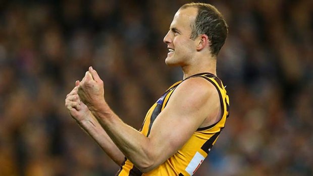 Second coming: David Hale has thrived as a forward and ruckman since joining Hawthorn from North Melbourne.