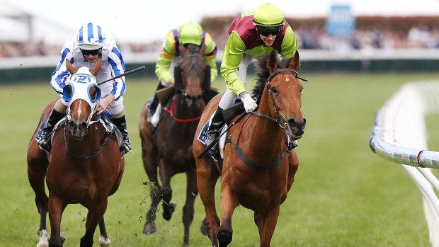 Oaks-bound: Nicholas Hall pilots Set Square to victory in the Ethereal Stakes.