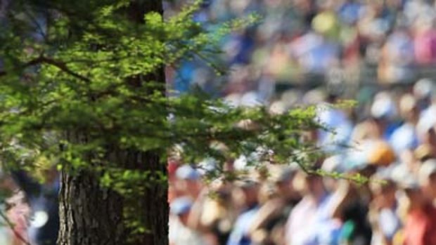 Winner ... Phil Mickelson plays a shot from the pine needles on the 13th hole during the final round of the US Masters.