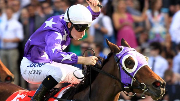 Fine return: Tommy Berry and Driefontein win the Sheraco Stakes.