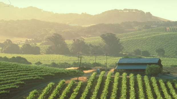 Great wines ... California's Napa Valley produces excellent cabernets.