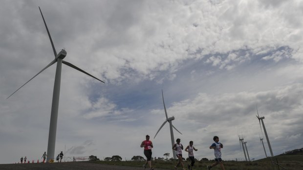 Runners beneath the turbines of the Woodlawn Wind Farm near Tarago on Sunday. 