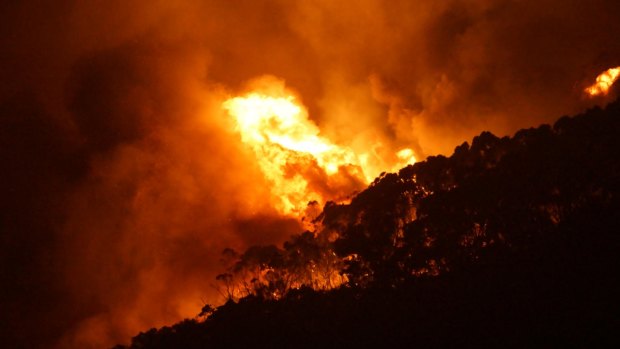 CFA firefighters had to face the full force of the Christmas Day fire at Wye River.