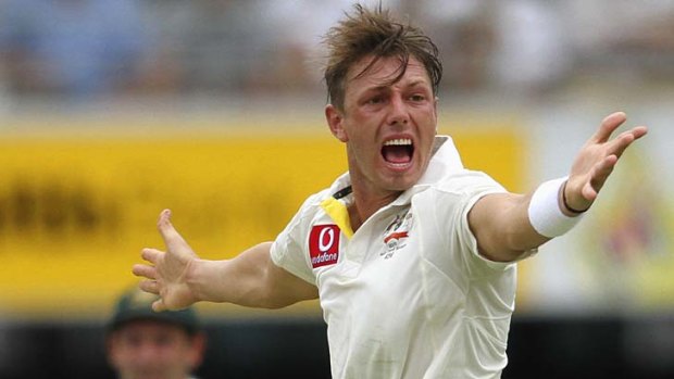 Howzat: James Pattinson, who was ruled out of the Big Bash.