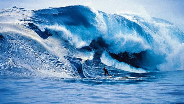 Wave theory ... Tasmanian Andy Campbell at Shipstern Bluff.