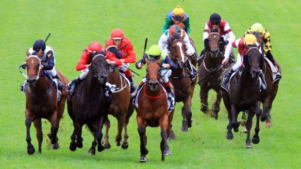 Black magic: Wild And Proud (second from left) charges to victory at Rosehill in the autumn last year. The former Tulloch Lodge top-liner is in the sixth at Warwick Farm.