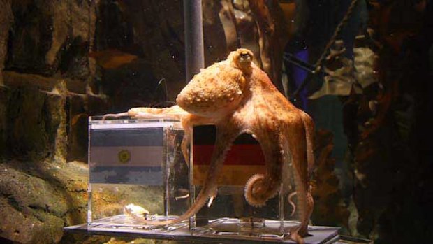 Set Cup oracle free (he'd like to be under the sea)