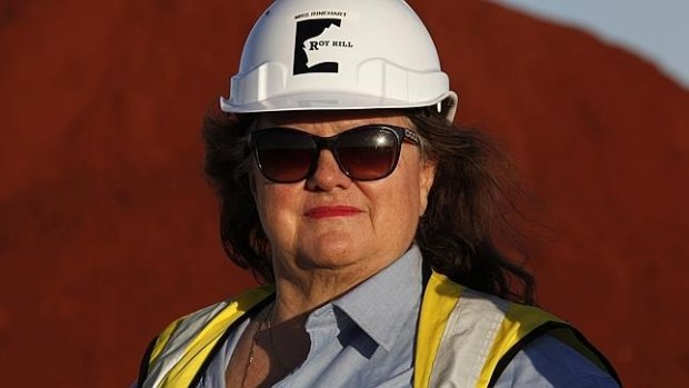 Gina Rinehart's Roy Hill mine has been served two prohibition notices in response to a number of serious incidents reported in the past year involving cranes and elevated working platforms.