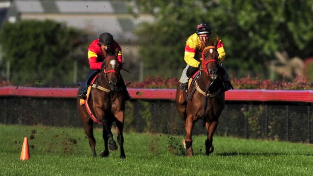 Onthelookout, right, will run against Black caviar in the TJ Smith Stakes at Randwick on Saturday.
