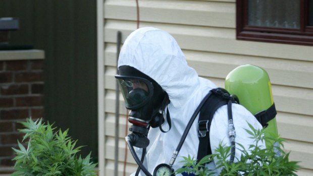 Police remove plants from a crop house.