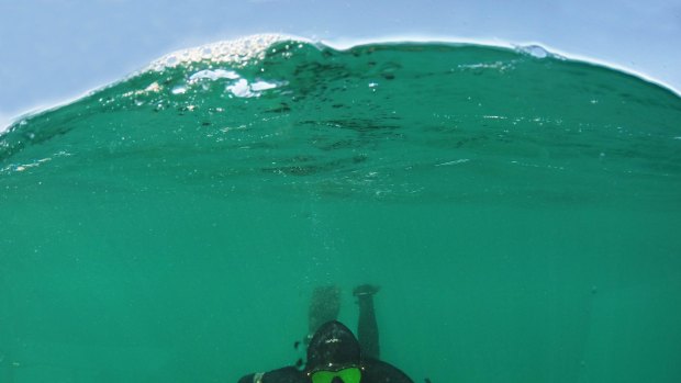 Diving for scallops in Port Phillip Bay near Rye.