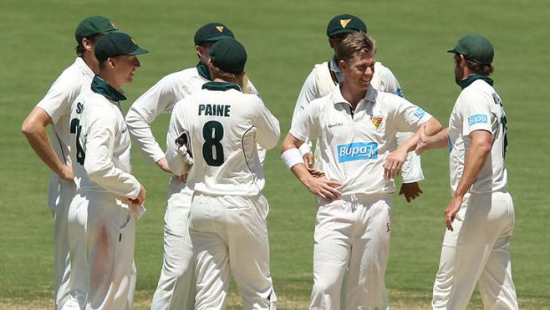 Way to go: Xavier Doherty is congratulated by fellow Tigers on his wicket at Adelaide Oval.
