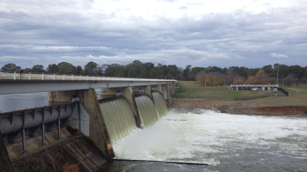 Water being released from Scrivener Dam on Monday, June 6 2016.